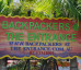 Backpackers @ The Entrance