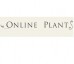 Plants Online – Online Plants Melbourne