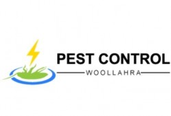 Pest Control Woollahra