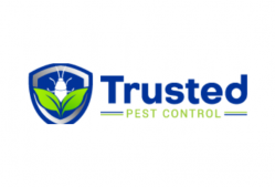 Trusted Spider Control Perth