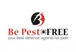 Be Pest Free Wasp Removal Adelaide