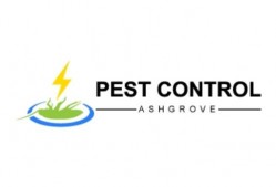 Pest Control Ashgrove
