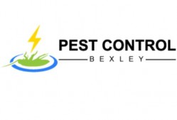 Pest Control Glebe