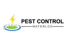 Pest Control Waterloo