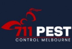 711 Wasp Nest Removal Melbourne