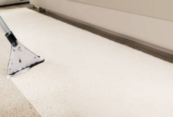 Prompt Rug Cleaning Perth