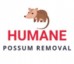 Humane Possum Removal St Kilda