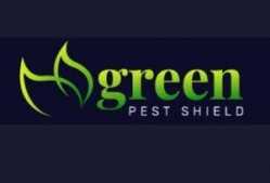 Green Pest Shield – Wasp Removal Brisbane