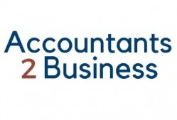 Accountants 2 Business