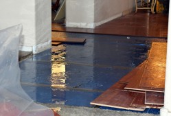 All Care Flood Damage Restoration Sydney