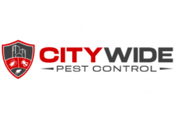 City Wide Pest Control Hobart