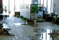 Pros Flood Damage Restoration Sydney